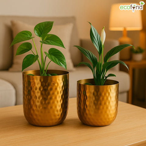 ecofynd Ivara Metal Plant Pots