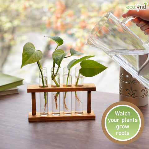 desktop hydroponic planter 4 Test Tube Planter with Wooden Holder – Minimal Hydroponic Desk Décor – Ecofynd
