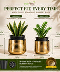 ecofynd Premium Golden Metal Planter – Set of 2, Spiral Design