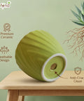 ecofynd Ecofynd Light Green Twisted 4 Inch Ceramic Cachepot Planter for Indoor Plants