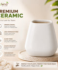 ecofynd 3.5 Inch White Ceramic Plant Pots with Drainage Hole