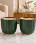 ecofynd 5 Inch Ceramic Plant Pots with Drainage Hole