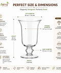 ecofynd 5.1 Inch Hurricane Glass Flower Vase for Fresh & Artificial Flowers