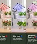ecofynd Ziva Grow Light for Indoor Plants (Herbs, Leafy Plants & Flowering