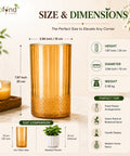 ecofynd 3.9 Inch Glass Flower Vase for Fresh & Artificial Flowers