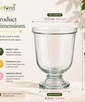 ecofynd 4.8 Inches Glass Vase for Flower Plants