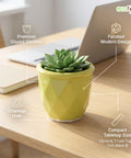 ecofynd Ecofynd Light Green 4.3 Inch Cachepot Planter with Drainage Hole for Desk