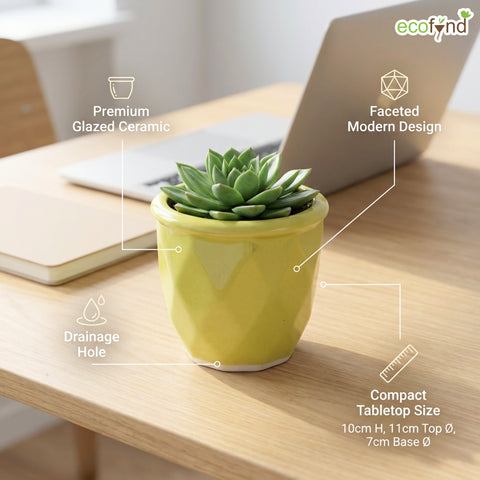 ecofynd Ecofynd Light Green 4.3 Inch Cachepot Planter with Drainage Hole for Desk
