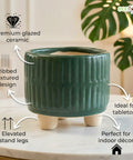 ecofynd Ecofynd Dark Green 3.5 Inch Ribbed Ceramic Cachepot Planter with Drainage Hole