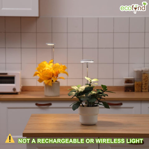 cordless grow lights for indoor plants Lumi Grow Light for Indoor Plants