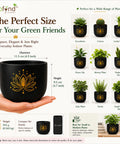 ecofynd 4.5 Inch Lotus Terracotta Pot for Indoor Plants