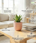 ecofynd Ecofynd Blush Pink 5 inch Ceramic Cachepot Planter for Indoor Plants