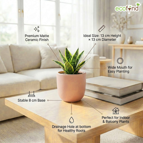 ecofynd Ecofynd Blush Pink 5 inch Ceramic Cachepot Planter for Indoor Plants