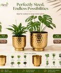 ecofynd Premium Golden Metal Planter – Set of 2, Goblet Design