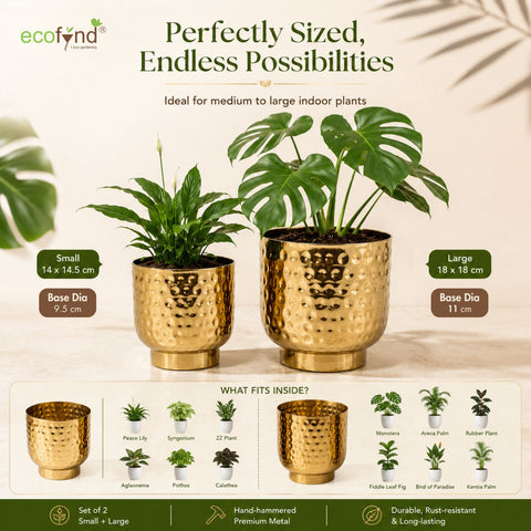 ecofynd Premium Golden Metal Planter – Set of 2, Goblet Design