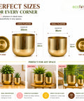 ecofynd Set of 2 Linea Patterned Golden Groove Planter – Gold Finish
