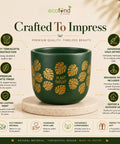 ecofynd 4.5 Inch Monstera Terracotta Pot for Indoor Plant