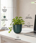 ecofynd Ecofynd Dark Green 5 inch Ceramic Cachepot Planter for Indoor Plants