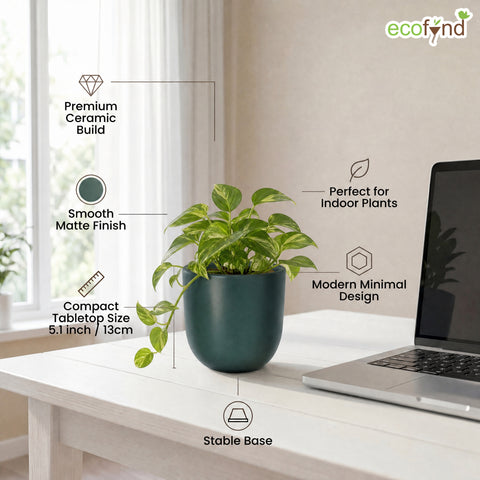 ecofynd Ecofynd Dark Green 5 inch Ceramic Cachepot Planter for Indoor Plants