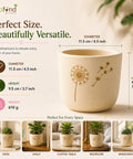 ecofynd 4.5 Inch Dandelion Floral Terracotta Pot for Indoor Plants