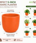 ecofynd 5 Inch Ceramic Plant Pots with Drainage Hole
