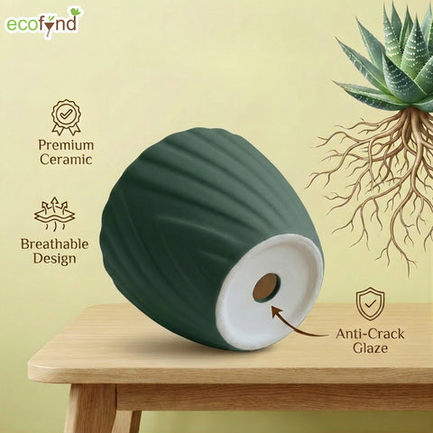 ecofynd Ecofynd Dark Green Twisted 4 Inch Ceramic Cachepot Planter for Indoor Plants