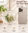 ecofynd Hanging Glass Planter – Cut Sphere Design | Clear Transparent Glass, Medium