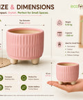 ecofynd 3.5 Inch Ceramic Plant Pots with Drainage Hole