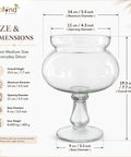 ecofynd 5.5 Inch Glass Flower Vase with Pedestal Stand for Fresh & Artificial Flower