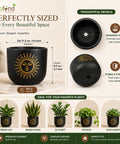 ecofynd 4.5 Inch Celestial Sun Terracotta Pot for Indoor Plants