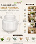 ecofynd 4.7 Inch Glass Flower Vase for Fresh & Artificial Flowers