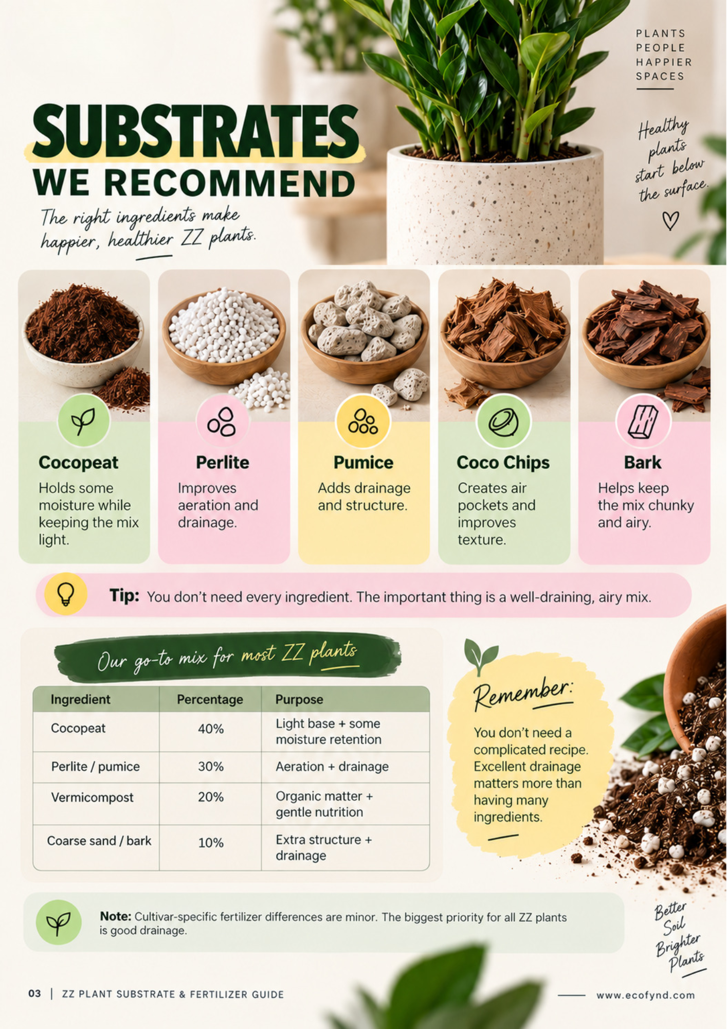 Recommended ZZ plant substrate ingredients including cocopeat, perlite, pumice, coco chips and bark