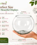 ecofynd Glass Terrarium Bowl