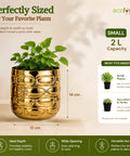 ecofynd Premium Golden Metal Planter – 5 Inch, Symmetrical Oval Design