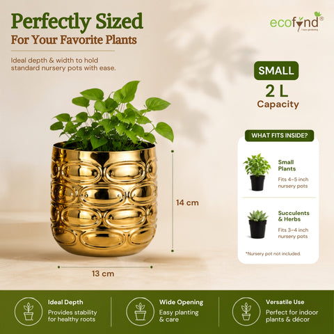 ecofynd Premium Golden Metal Planter – 5 Inch, Symmetrical Oval Design