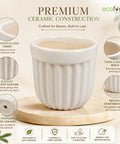ecofynd 3.5 Inch White Ceramic Plant Pots with Drainage Hole
