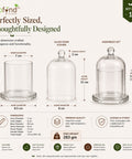 ecofynd 3.3 Inches Decorative Glass Bell Jar with Lid