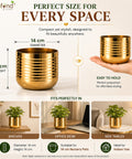 ecofynd Premium Golden Metal Planter – 5 Inch, Spiral Design