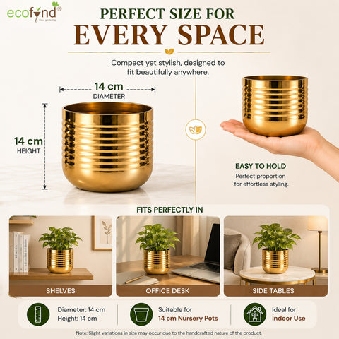 ecofynd Premium Golden Metal Planter – 5 Inch, Spiral Design