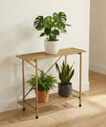 ecofynd Eric Jr Metal Golden Plant Stand – 2 Tier Utility Display for Home & Garden