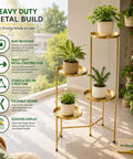 ecofynd Ecofynd Kian 4-Tier Foldable Metal Plant Stand for Balcony & Garden (Golden)