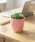 ecofynd Ecofynd Pink 4.3 Inch Cachepot Planter with Drainage Hole for Desk