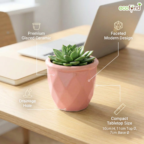 ecofynd Ecofynd Pink 4.3 Inch Cachepot Planter with Drainage Hole for Desk