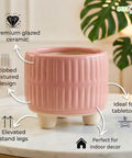 ecofynd Ecofynd Pink 3.5 Inch Ribbed Ceramic Cachepot Planter with Drainage Hole