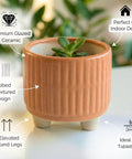 ecofynd Ecofynd Peach 3.5 Inch Ribbed Ceramic Cachepot Planter with Drainage Hole