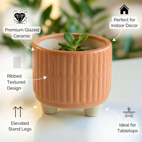 ecofynd Ecofynd Peach 3.5 Inch Ribbed Ceramic Cachepot Planter with Drainage Hole