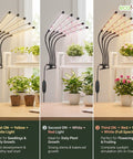 ecofynd Nysa Grow Light for Indoor Plants All-in-One (Seedlings to Fruits)