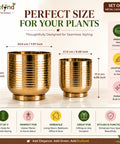 ecofynd Set of 2 Halo Ribbed Metal Planter in Symmetrical Design