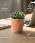 ecofynd Ecofynd Peach 4.3 Inch Cachepot Planter with Drainage Hole for Desk