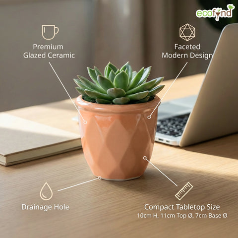 ecofynd Ecofynd Peach 4.3 Inch Cachepot Planter with Drainage Hole for Desk